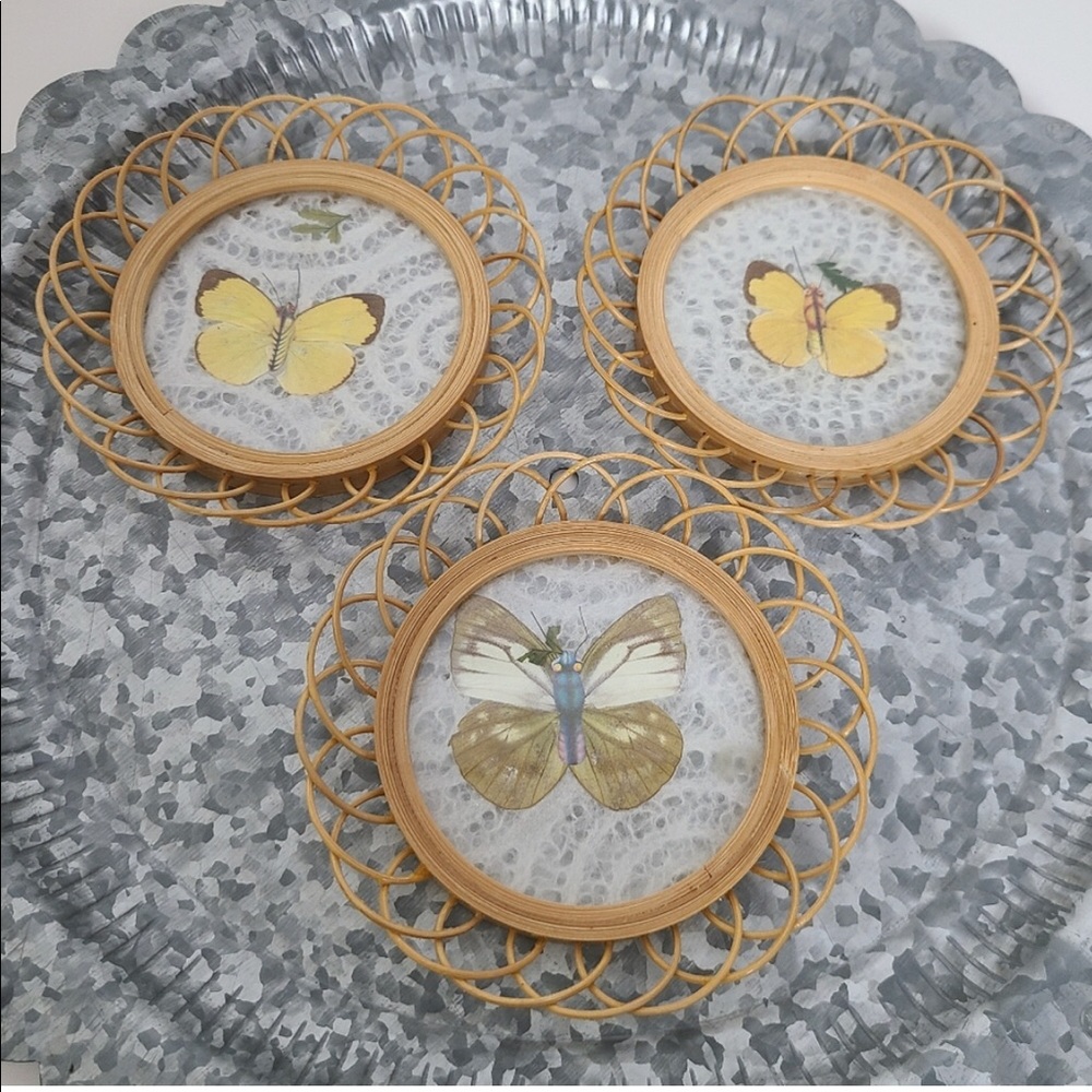 Pressed Butterfly & Lace Wicker Coasters- Set of 3